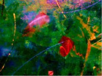 /album/galleria-foto-homepage/particolare-affresco-como-agosto-2010-jpg-n1-jpg/